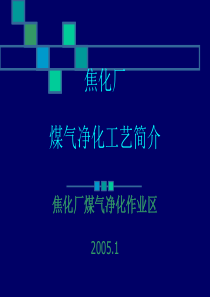 焦化厂_煤气净化工艺简介