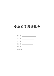 会计专业实习调查报告