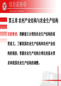 第五章农村产业结构与农业生产结构