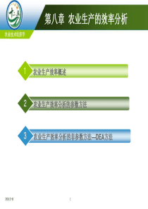 第八章农业生产的效率分析