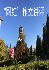 作文训练：网红