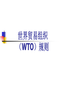 世界贸易组织WTO规则-战勇-WTO规则课件