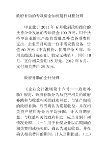 政府补助的专项资金如何进行财税处理