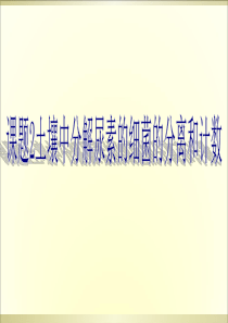 土壤中分解尿素的细菌的分离和计数..