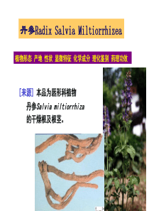 丹参黄芩地黄巴戟天党参