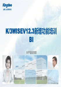 K3WISEv123新增功能培训_BI