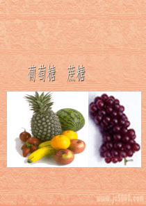 矿物能源煤