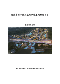 乐亭通用机场建设方案(简单)-1