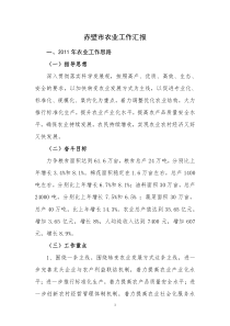 赤壁市农业工作汇报
