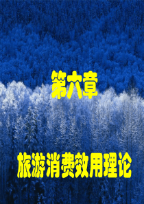 第6章旅游消费效用理论