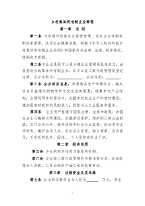 乡村集体所有制企业章程(完整版)