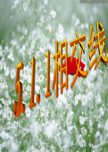 七年级下册数学人教版《5.1相交线》ppt课件