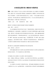 云南省重金属污染土壤修复与调查简述