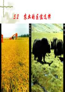 高中地理课件高中地理课件农业的区位选择75556