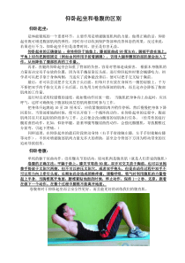 仰卧起坐和卷腹的区别