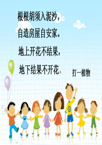 五年级上册15《落花生》精美课件ppt