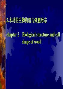 纳米技术林产化工研究的新动向