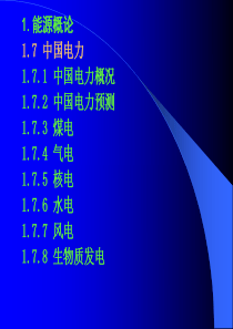 能源战略与能源经济 第一章4