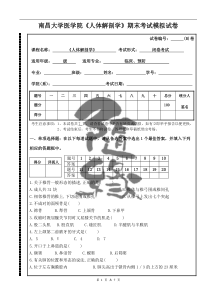 人体解剖学模拟试卷(B)