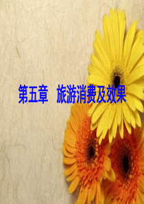第五章 旅游消费及效果