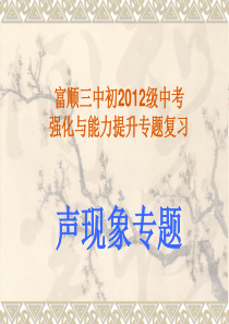 中考强化与能力提升专题复习--声现象