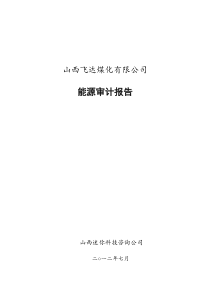 飞达公司能源审计报告