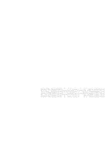 中原客户体验管理