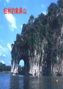 第四单元旅游活动