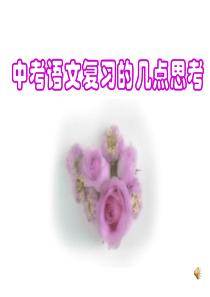 中考语文复习的几点思考