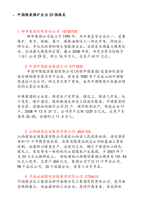 中国煤炭煤矿企业20强排名