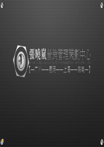 阆中城市旅游形象塑造及全案推广策略（PPT117页)