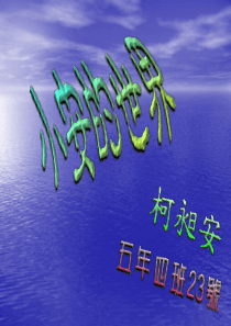 韩国旅游