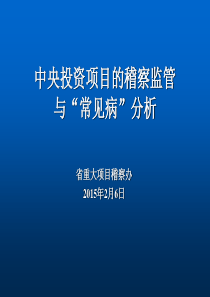 中央投资项目稽察课件.