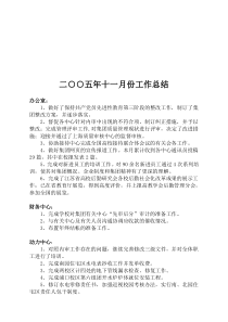 二五年十一月份工作总结