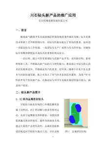 中石化川东北钻头技术交流