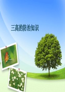 中老年三高防治讲座