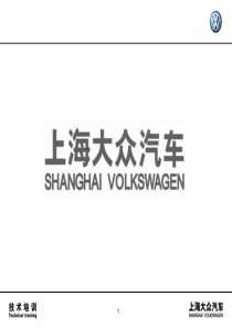 0上海大众汽车（PDF39页）