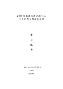 三农问题专题实习报告