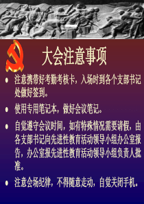 个人党性分析材料