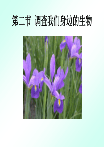 112调查我们身边的生物