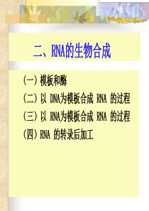 11RNA的生物合成一、转录-RNA的生物合成