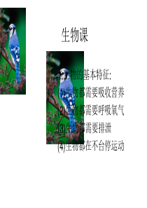 1生物的基本特征