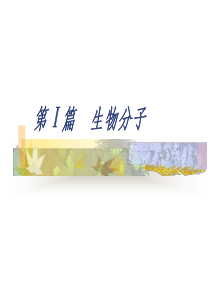 1第Ⅰ篇 生物分子(糖类化学)1