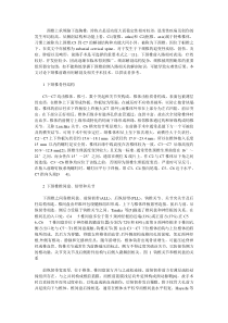 下颈椎前路手术的解剖与临床