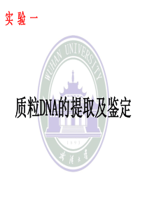 2提质粒_XXXX年分子生物学实验