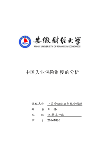 中国失业保险制度的分析