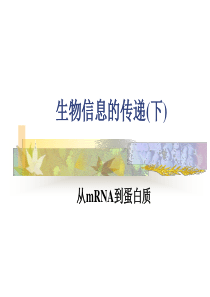 4生物信息的传递(下)