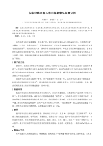 东华北地区春玉米出苗期常见问题分析