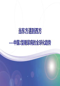 东方遇到西方.