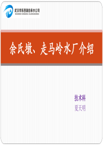 东西湖两水厂工艺介绍.